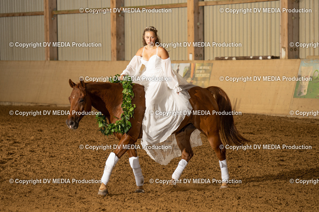 LAU01193 | dv-media-shop - Realisiert mit Pictrs.com