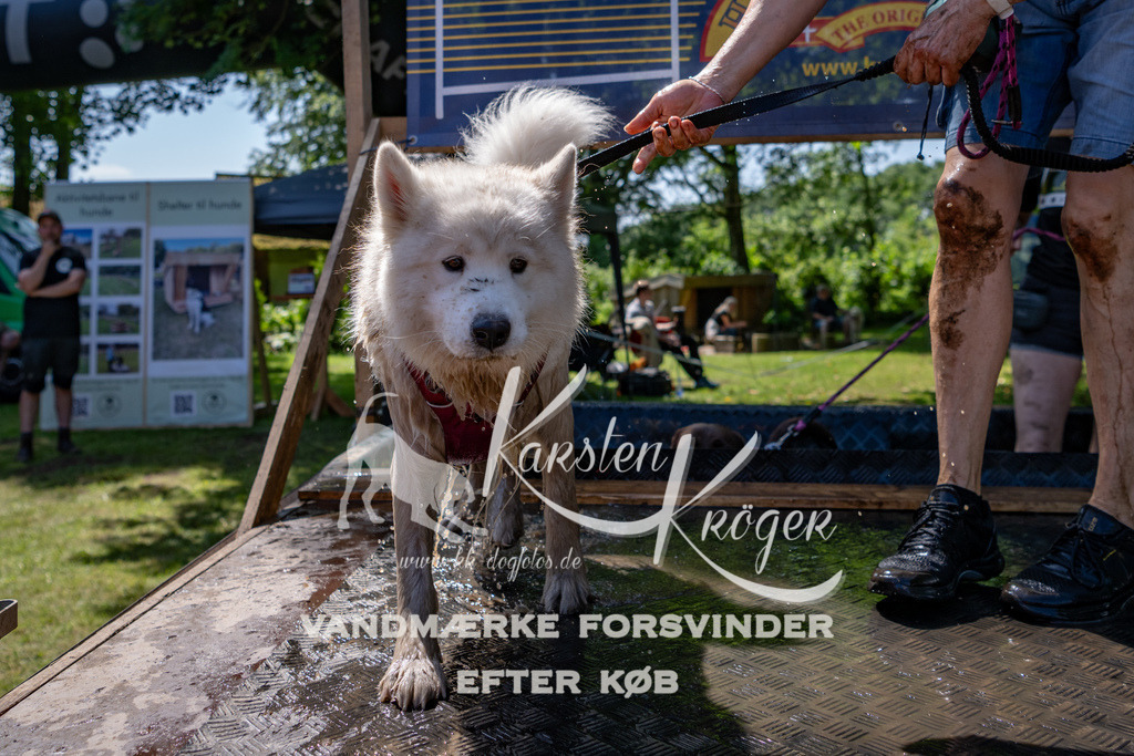 1329_ZZ91477 | kk-dogfotos