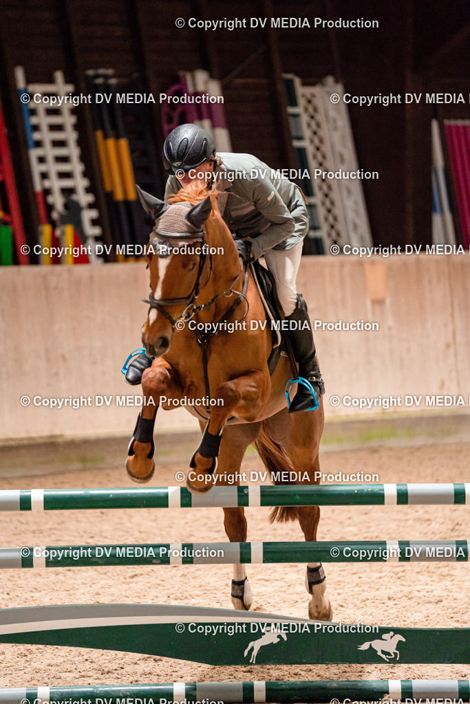 Springen Tag 1-250 | dv-media-shop - Realisiert mit Pictrs.com