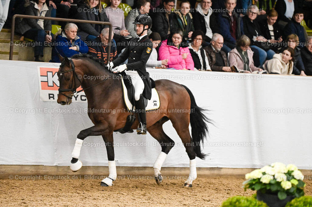 20260307_Hengstvorstellung-Marbach_0338 | equistock