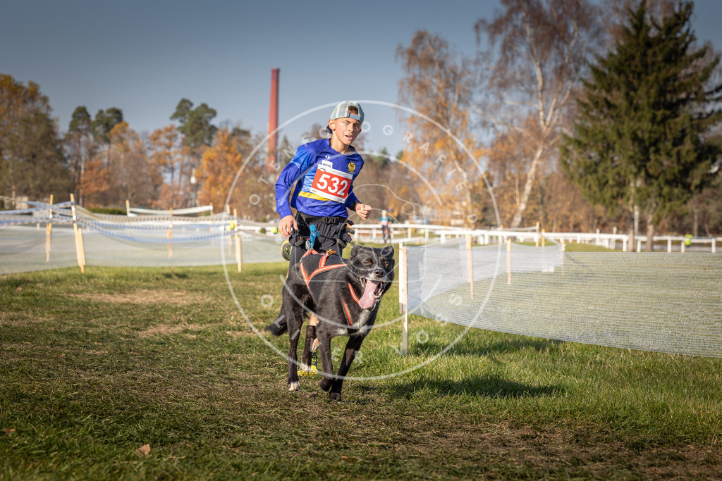 CaniXpix_0L8A8807 | Hundefotografie, Tierfotograf, Pfotenfotografie, Fotoshooting Hund, Hunde Portrait, Hundesport, Hundeportraits, Heideshooting, Hunde, Sportfotograf, Hundefotograf, Turnierhundsport, THS,  - Realisiert mit Pictrs.com
