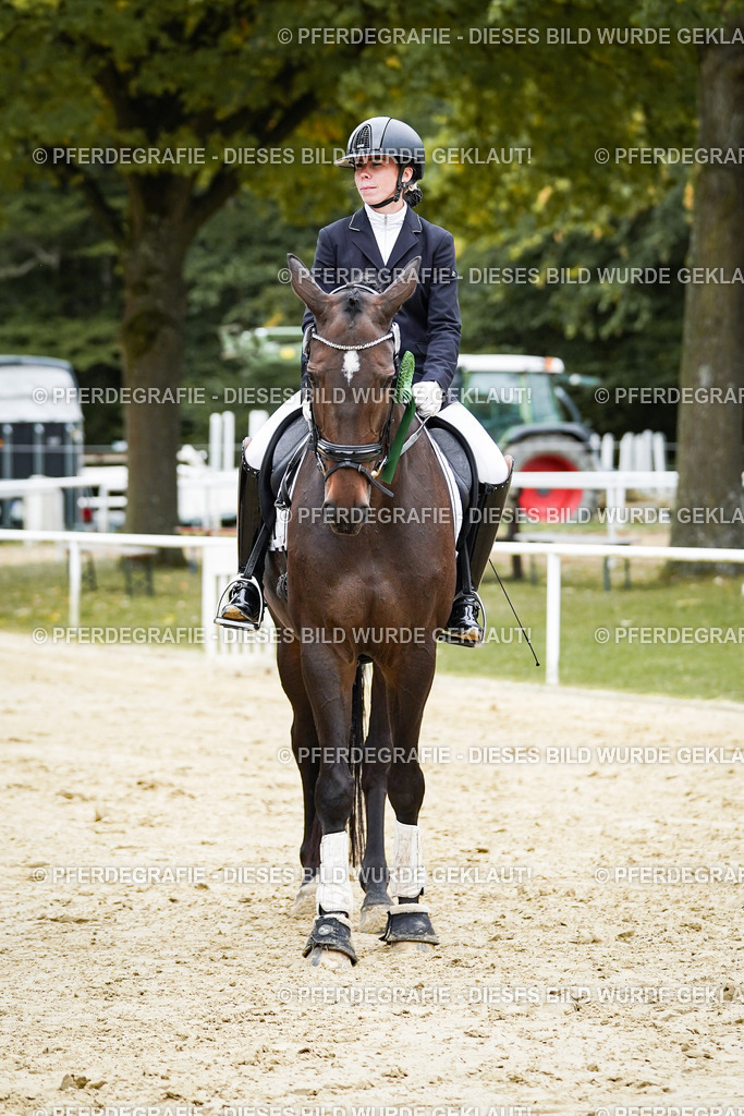 DSC02430 | Pferdegrafie