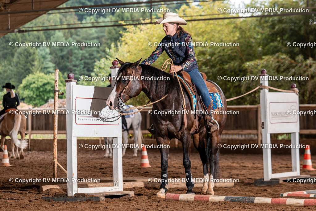 Erbach Tag 2-112 | dv-media-shop - Realisiert mit Pictrs.com