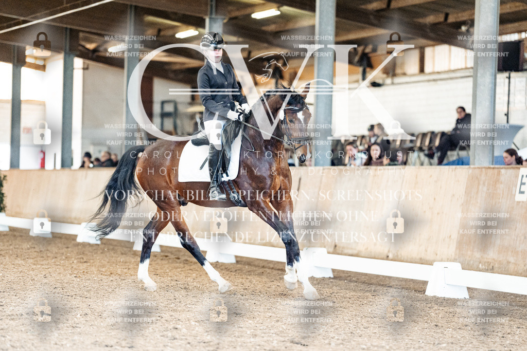 CK909889 | Turnierfotografie Pferdefotografie Trier Rheinland-Pfalz Pferdesport Reitsport Tierfotografie Sportfotografie Pferdevideo Pferdevideografie Equestrianvideography equestrianphotography  - Realisiert mit Pictrs.com