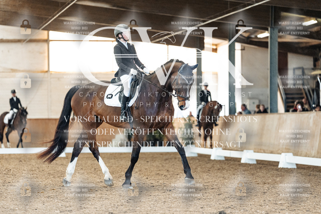 CK908456 | Turnierfotografie Pferdefotografie Trier Rheinland-Pfalz Pferdesport Reitsport Tierfotografie Sportfotografie Pferdevideo Pferdevideografie Equestrianvideography equestrianphotography  - Realisiert mit Pictrs.com