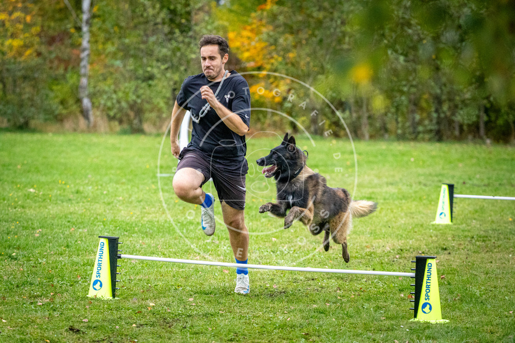 Pfotenfotografie_DV3A1509 | Hundefotografie, Tierfotograf, Pfotenfotografie, Fotoshooting Hund, Hunde Portrait, Hundesport, Hundeportraits, Heideshooting, Hunde, Sportfotograf, Hundefotograf, Turnierhundsport, THS,  - Realisiert mit Pictrs.com