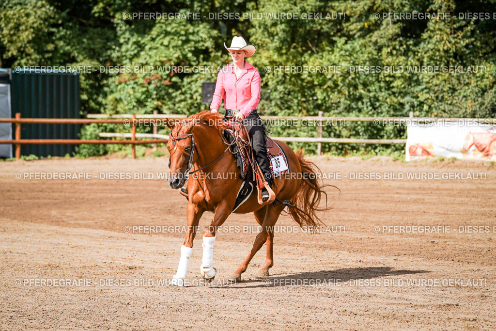 DSC09383 | Pferdegrafie