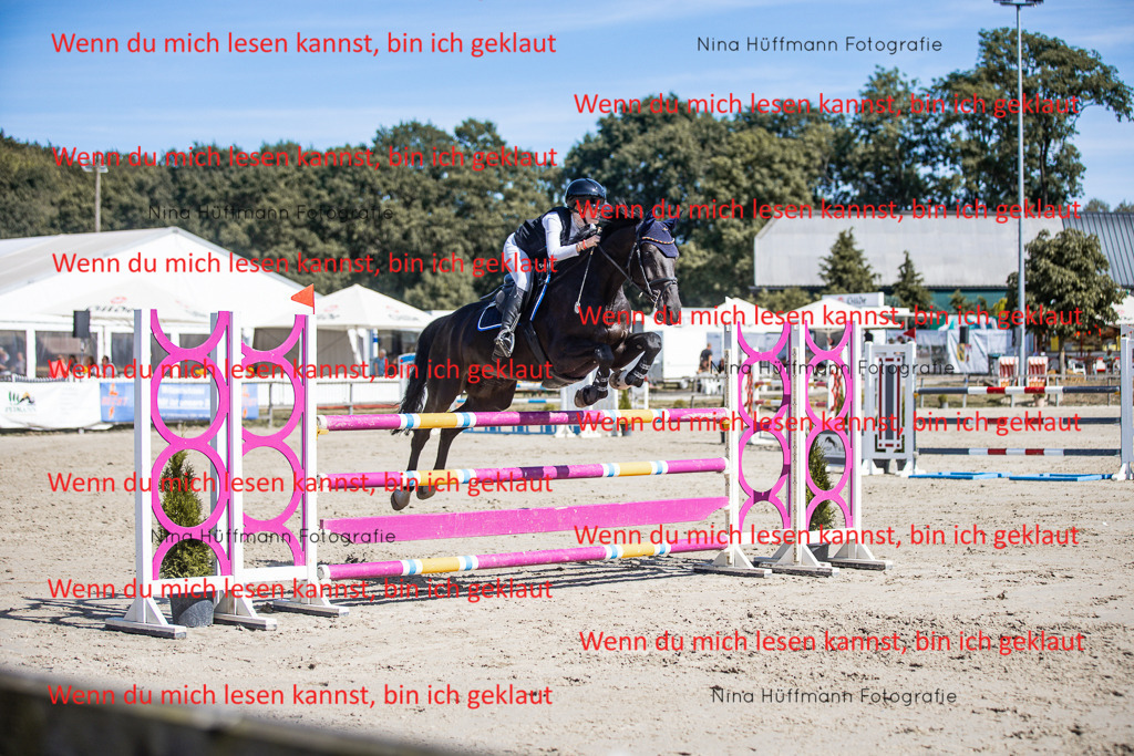 BK1A6951 | Turnierbilder Turnierfotos Nina Hüffmann Turnierfotografie Pferdefotografie Tierzeichnung Haustierzeichnung Pferdezeichnung Hundezeichnung Videograf  - Realisiert mit Pictrs.com