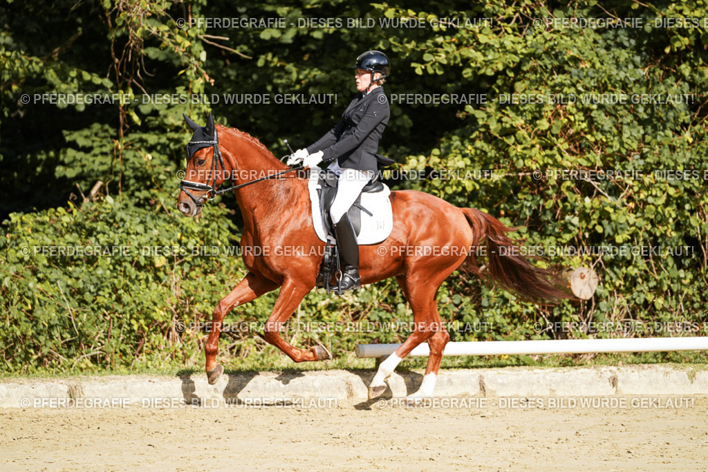 DSC08613 | Pferdegrafie