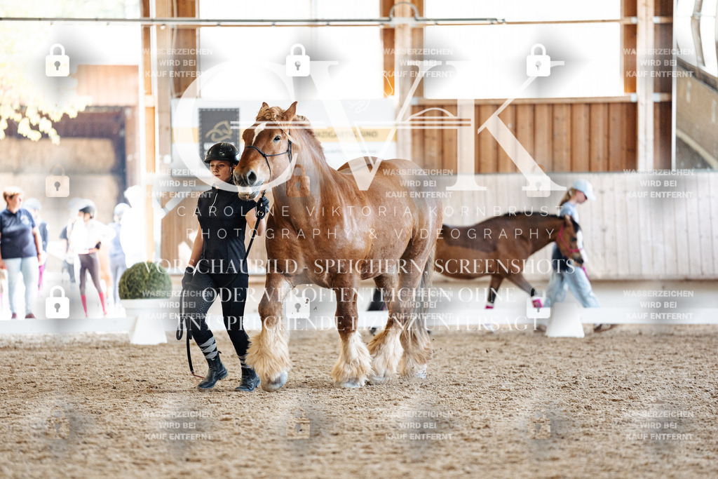 CK907243 | Turnierfotografie Pferdefotografie Trier Rheinland-Pfalz Pferdesport Reitsport Tierfotografie Sportfotografie Pferdevideo Pferdevideografie Equestrianvideography equestrianphotography  - Realisiert mit Pictrs.com