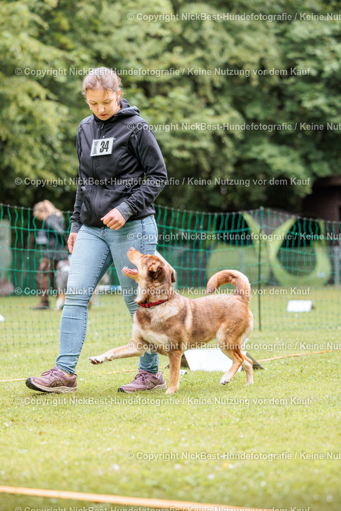 RO-Blumenthal-2026-Nickbest-Hundefotografie-2811 | Dein Hund! Dein Moment! Deine Erinnerungen! Hundefotografie in Bremen Blumenthal. Ich fange die besonderen Momente deines Vierbeiners ein – ob Indoor mit Blitzanlage oder in der freien Natur. Sicher dir dein Moment und dein Termin für eure Erinnerungen.