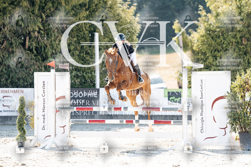 CK907896 | Turnierfotografie Pferdefotografie Trier Rheinland-Pfalz Pferdesport Reitsport Tierfotografie Sportfotografie Pferdevideo Pferdevideografie Equestrianvideography equestrianphotography  - Realisiert mit Pictrs.com