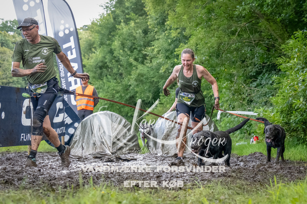 1156_ZZ90430-Bearbeitet | kk-dogfotos