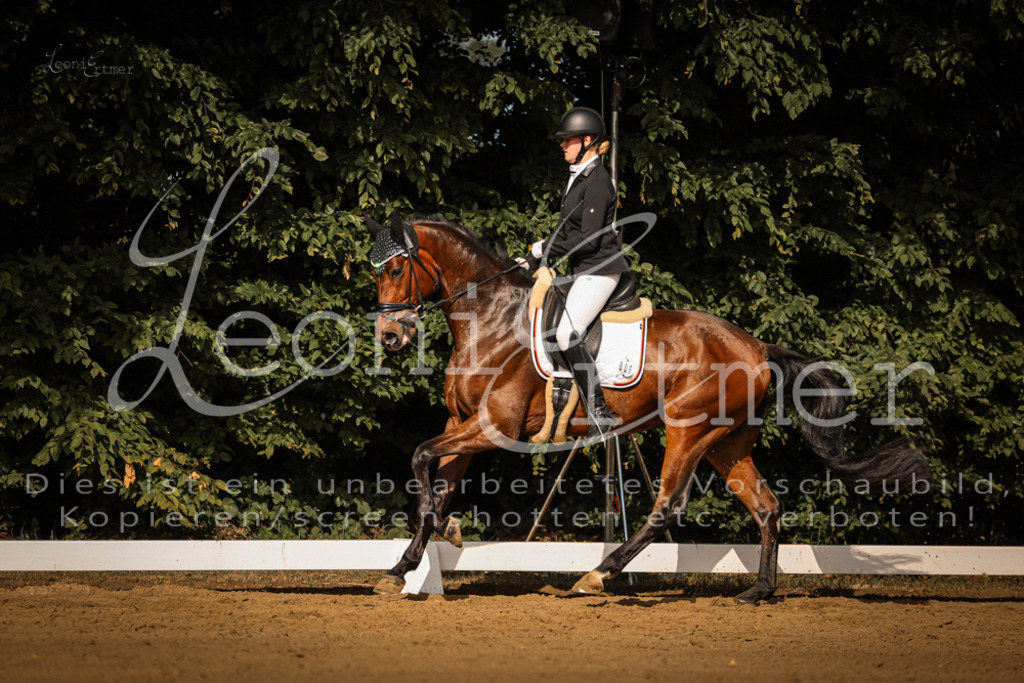 07.FrDrPA00048 | Leoni Ertmer Photography - Realisiert mit Pictrs.com