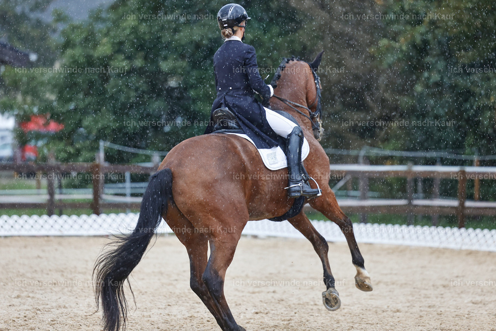 8_2-149-DRESSUR S_  -StoibPH-4475 | working equitationturnier fotograf videograf stoibphotography marixx film working equitation deutschland reitsport turnierfotografie eventfotografie equestrian events