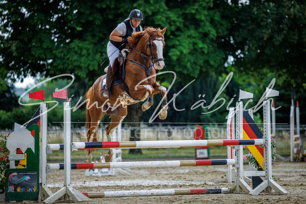 20260705-_3LI4463 | Tierfotografie Pferde, Hunde, Katzen, Haustiere.
Turnierfotografie Reitturniere, Reiten, Springreiten, Dressur in Hanau, dem Main-Kinzig-Kreis und dem Rhein-Main- Gebiet um Frankfurt