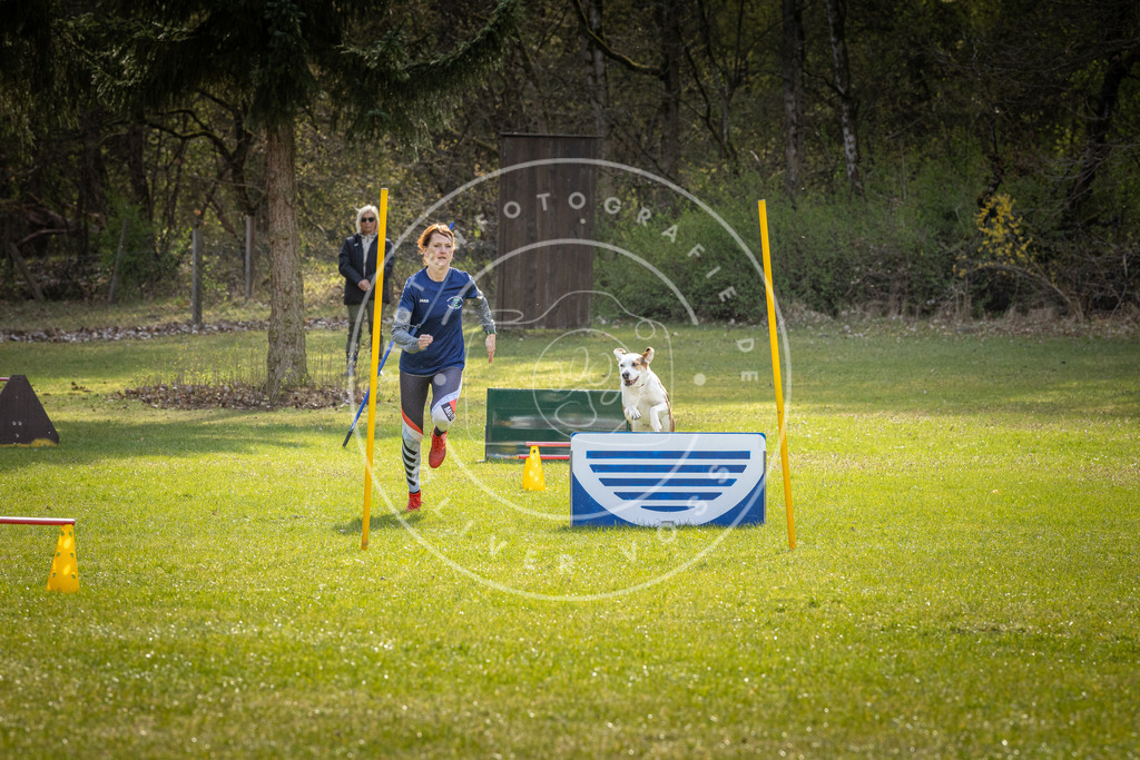 Pfotenfotografie_DV3A3170 | Hundefotografie, Tierfotograf, Pfotenfotografie, Fotoshooting Hund, Hunde Portrait, Hundesport, Hundeportraits, Heideshooting, Hunde, Sportfotograf, Hundefotograf, Turnierhundsport, THS,  - Realisiert mit Pictrs.com