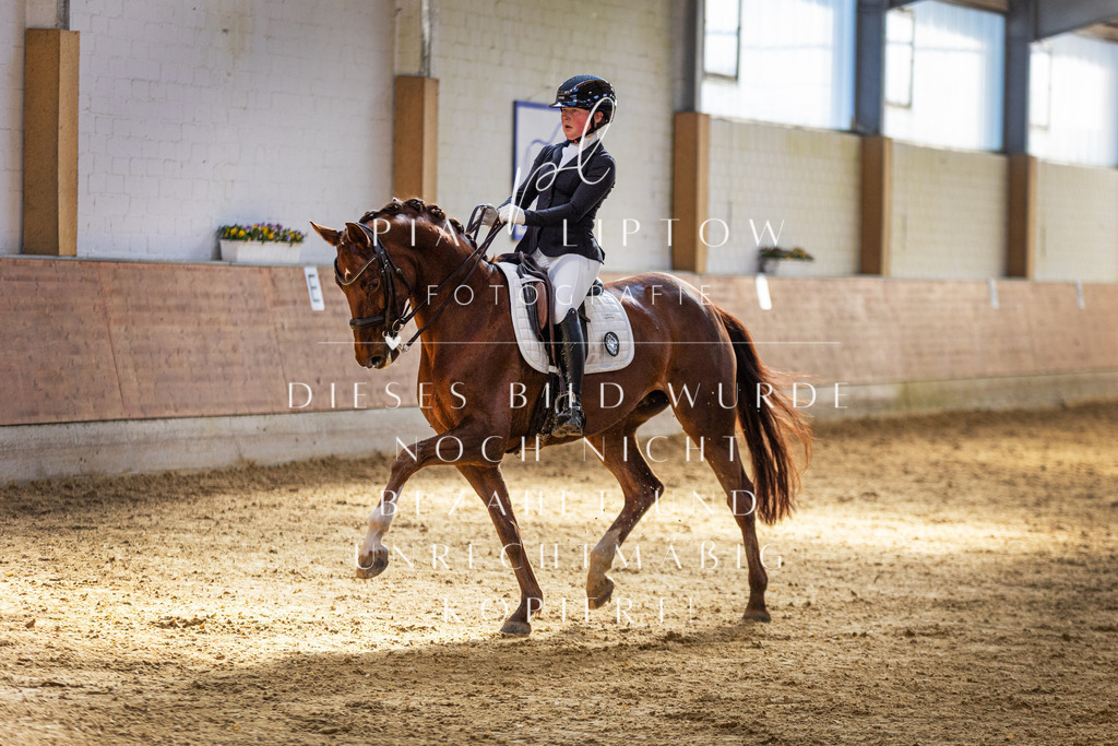 IMGT9941 | pl-fotografie