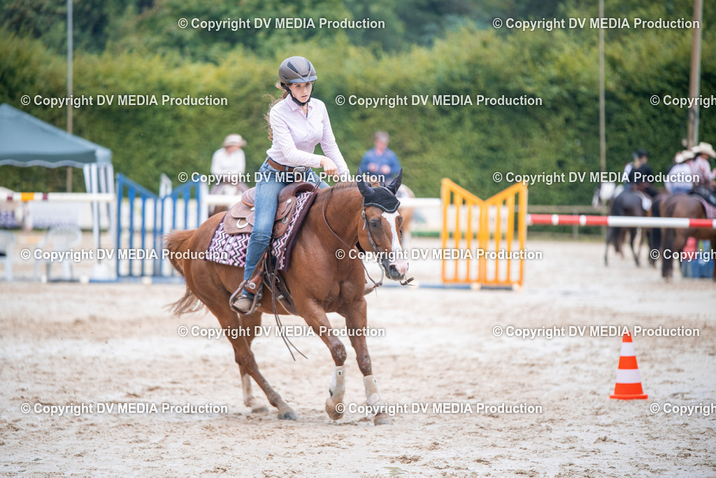 ZS2_4135 | dv-media-shop - Realisiert mit Pictrs.com