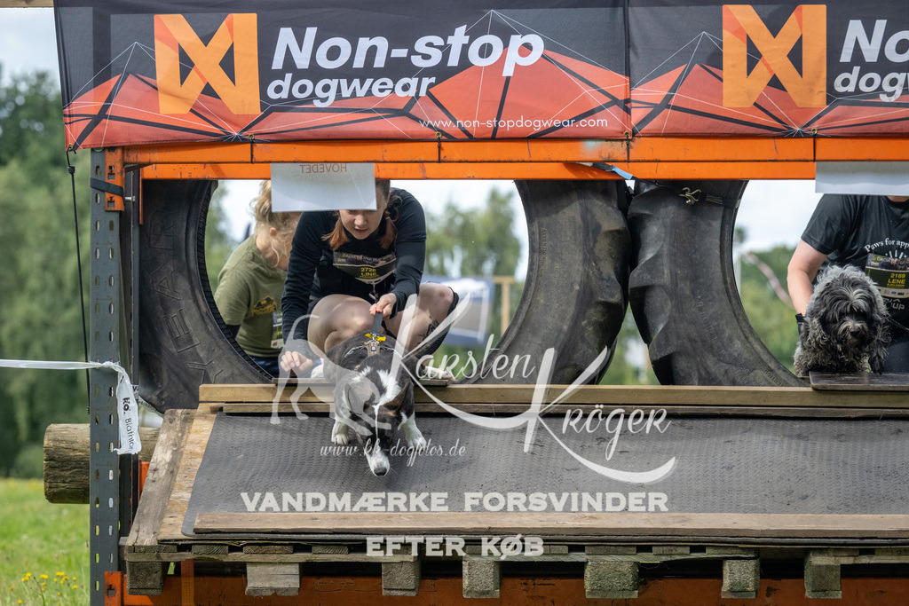 1535_ZZ93255 | kk-dogfotos