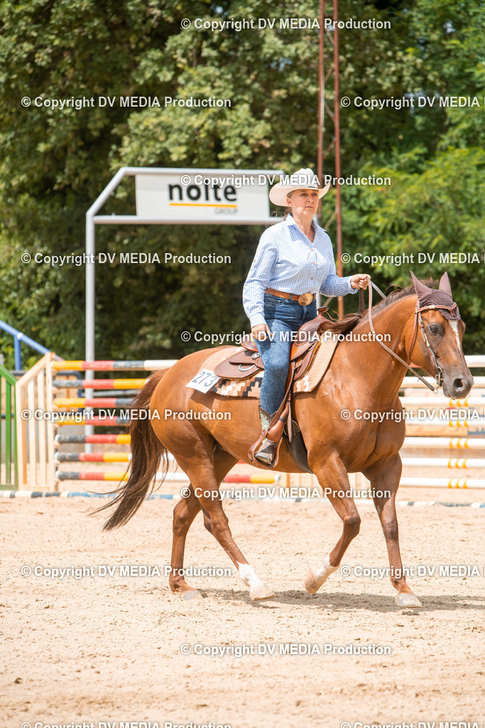 EWP_6259 | dv-media-shop - Realisiert mit Pictrs.com