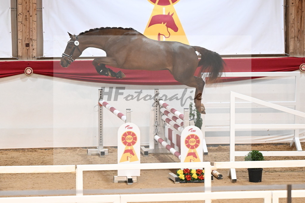 Kat.-Nr. 32 v. Tangelo van de Zuuthoeve_Schlamminger_3261792 | hf-fotografie - Realisiert mit Pictrs.com