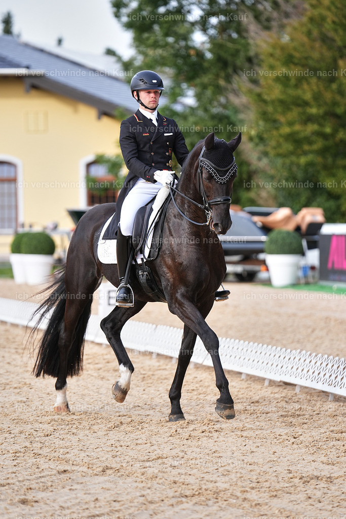 13-229-S___ -Marixx-7060 | working equitationturnier fotograf videograf stoibphotography marixx film working equitation deutschland reitsport turnierfotografie eventfotografie equestrian events