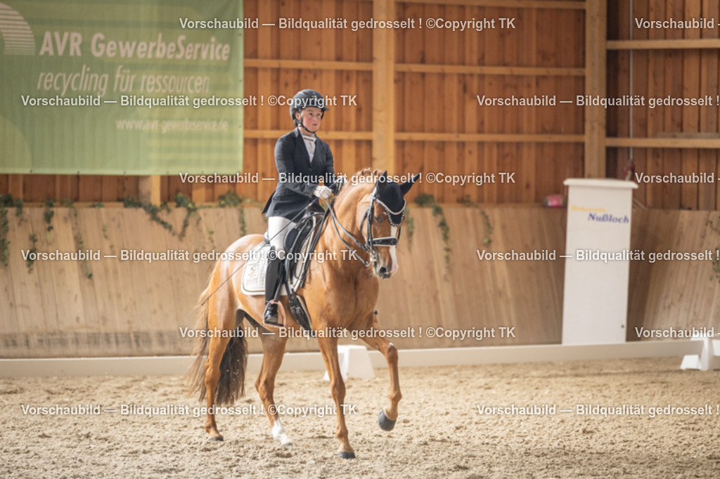 _D5A6104 | Emotionale Pferde- & People-Fotografie rund um Heidelberg, Leimen & Umgebung. Natürliche Fotos von Pferd, Mensch & Familie. Jetzt Termin sichern!