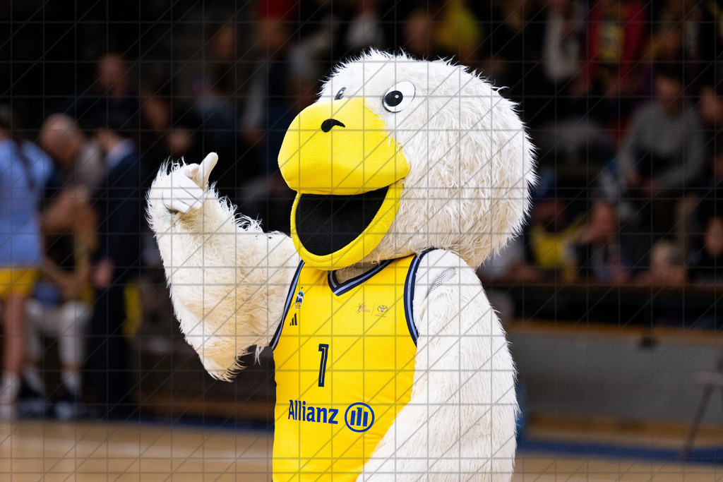 1. DBBL 24/25 | 02.11.2024 | Alba Berlin vs. USC Freiburg | 1. DBBL 24/25 | 02.11.2024 | Alba Berlin vs. USC Freiburg - - - - - CREDIT, www.bullenfotos.de, Martin König, Hörner Weg 40, D-49078 Osnabrück, +4917663732967, Nutzung und Weitergabe nur zu den vereinbarten Zwecken. Presseanfragen an Urheber. Alle Rechte beim Urheber. - - - - - - Realisiert mit Pictrs.com