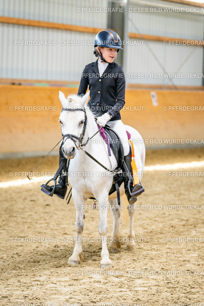 DSC03474 | Pferdegrafie