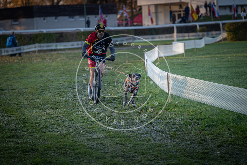 CaniXpix_0L8A1337 | Hundefotografie, Tierfotograf, Pfotenfotografie, Fotoshooting Hund, Hunde Portrait, Hundesport, Hundeportraits, Heideshooting, Hunde, Sportfotograf, Hundefotograf, Turnierhundsport, THS,  - Realisiert mit Pictrs.com