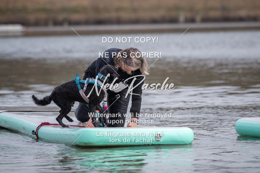 nelerasche_Hulsbeek_Sa1600-1700_507 | nelerasche