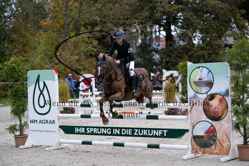 A7V08677 | Turnier/Reitfotograf