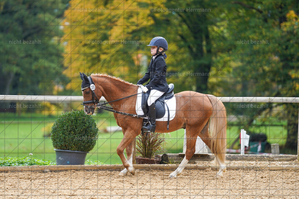 20221008-FAH01243 | Diessen am Ammersee, 2022, Dressur- und Springturnier, Reitsportbilder, Turnierfotografen Bayern, Pferdefotografen, Fotoagentur Herrmann, Turnierbilder