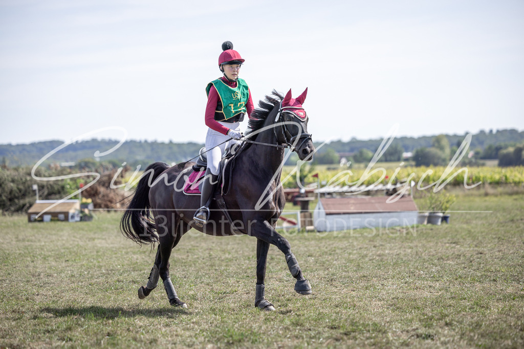 20250907-_3LI1387 | Tierfotografie Pferde, Hunde, Katzen, Haustiere.
Turnierfotografie Reitturniere, Reiten, Springreiten, Dressur in Hanau, dem Main-Kinzig-Kreis und dem Rhein-Main- Gebiet um Frankfurt