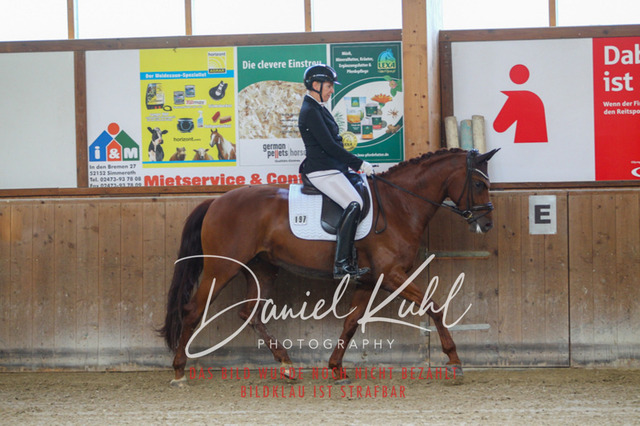 DKP43527 | Turniersportfotografie; Pferdefotografie; Dressurfotografie