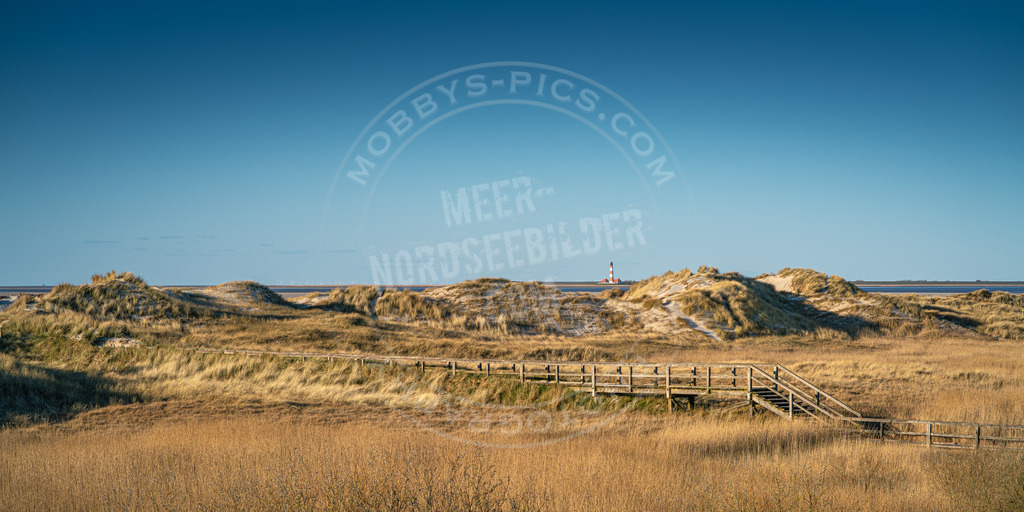 Westerhever Leuchtturm hinter den Dünen | Dünen St. Peter-Ording