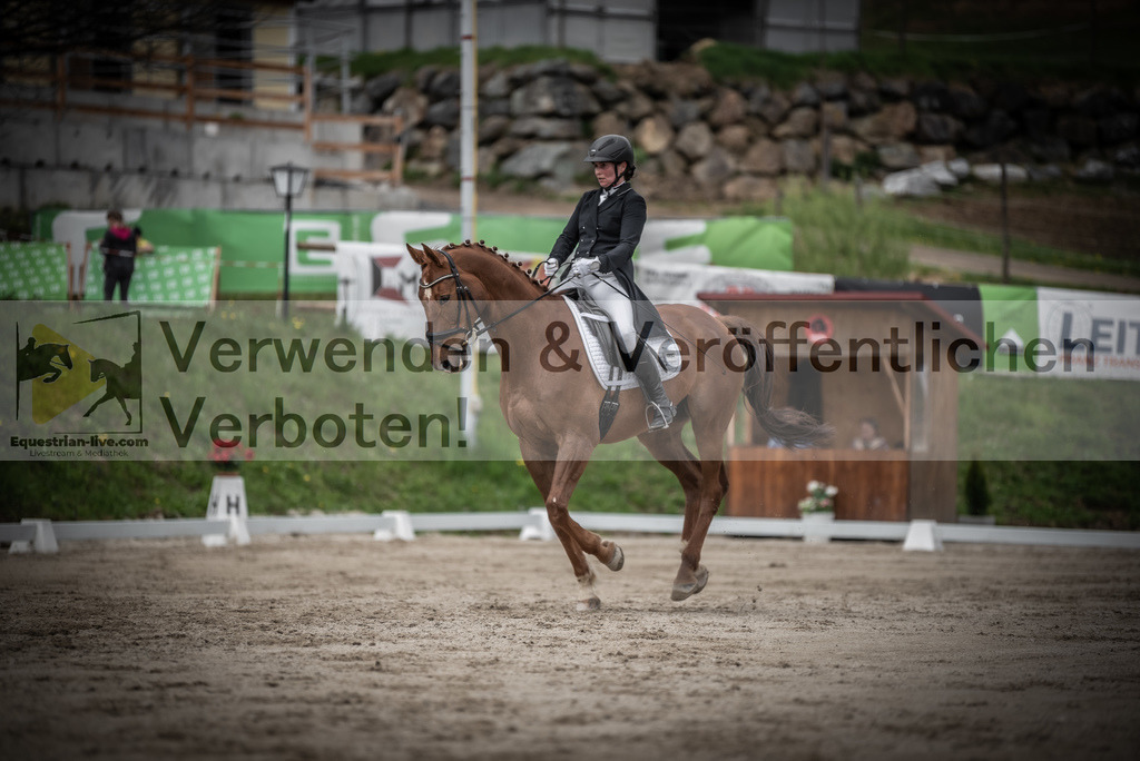 DSC_2542 | equestrian-live-com