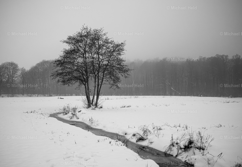 Winter in Schleswig-Holstein | Profi-Fotos über Schleswig-Holstein und dem ganzen Norden für Büro, Hotel, Ferienhaus, Ferienwohnung, Wohnzimmer, Arztpraxis uvm. jetzt bestellen. - Realisiert mit Pictrs.com