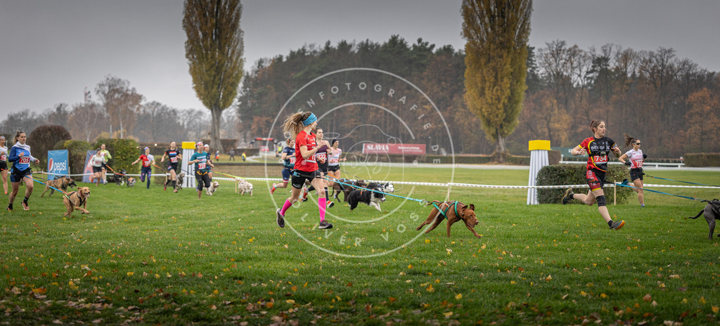 CaniXpix_DV3A8827 | Hundefotografie, Tierfotograf, Pfotenfotografie, Fotoshooting Hund, Hunde Portrait, Hundesport, Hundeportraits, Heideshooting, Hunde, Sportfotograf, Hundefotograf, Turnierhundsport, THS,  - Realisiert mit Pictrs.com