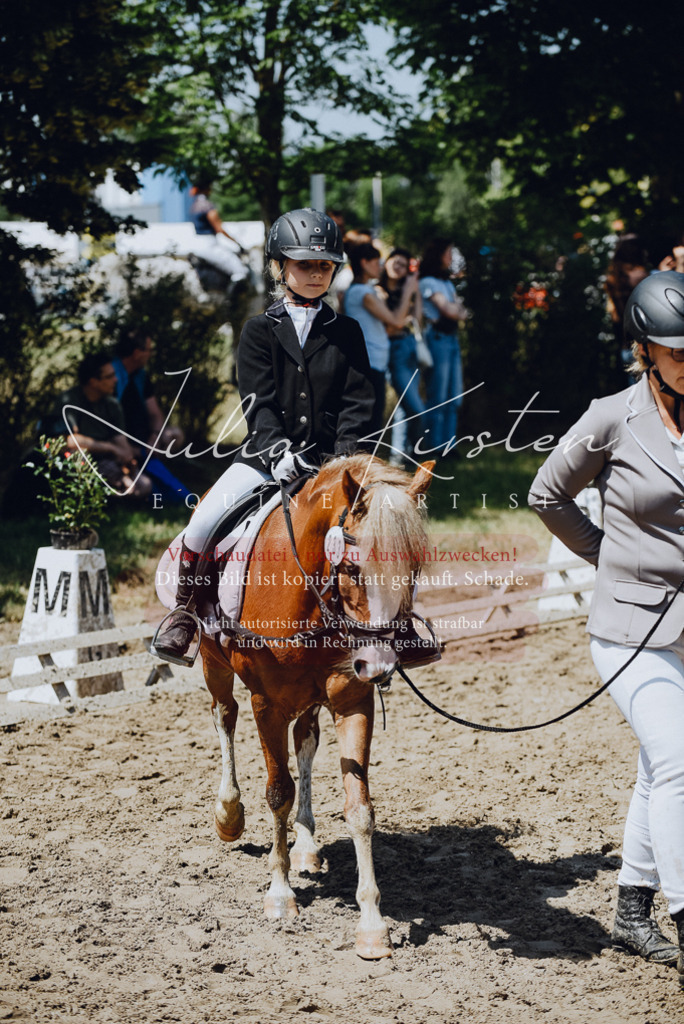 DSC_2185 | Pferde- und Turnierfotografie in Westsachsen. Pferdeportraits, Auftragszeichnungen und intuitive Kunst.