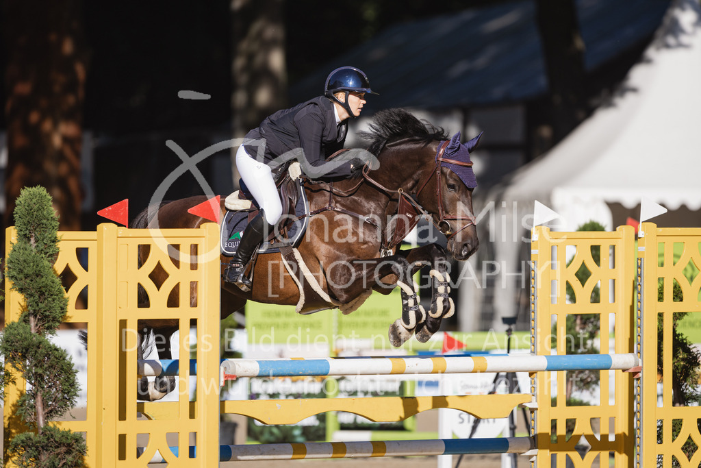 230908_OWLCh_AmateurS-154 | Deine schönsten Turniermomente als professionelle Fotos! Entdecke hochwertige Pferdesport-Fotografie im Online-Shop. Jetzt Fotos finden & bestellen!