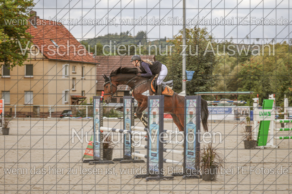 2025-09-22_09-33-15_MG_3428 | TE-Fotos