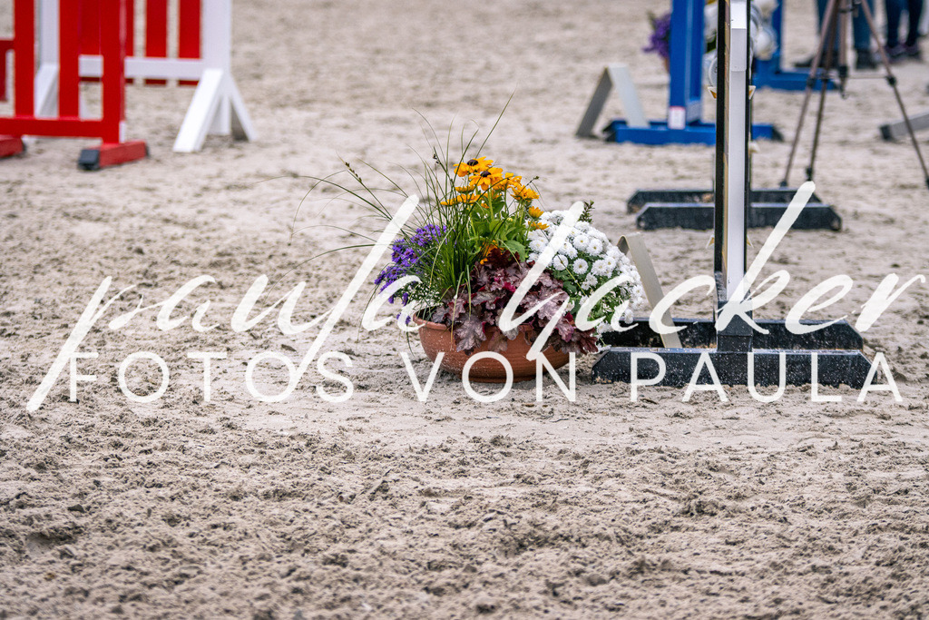 IMG_6183 | Erleben Sie dynamische Sport- und emotionale Tierfotografie in Süddeutschland mit Fotos von Paula. Spezialisiert auf Pferde- und Hundefotografie sowie Sportevents. Kontaktieren Sie mich für einzigartige und ausdrucksstarke Bilder Ihrer besonderen Momente. - Realisiert mit Pictrs.com