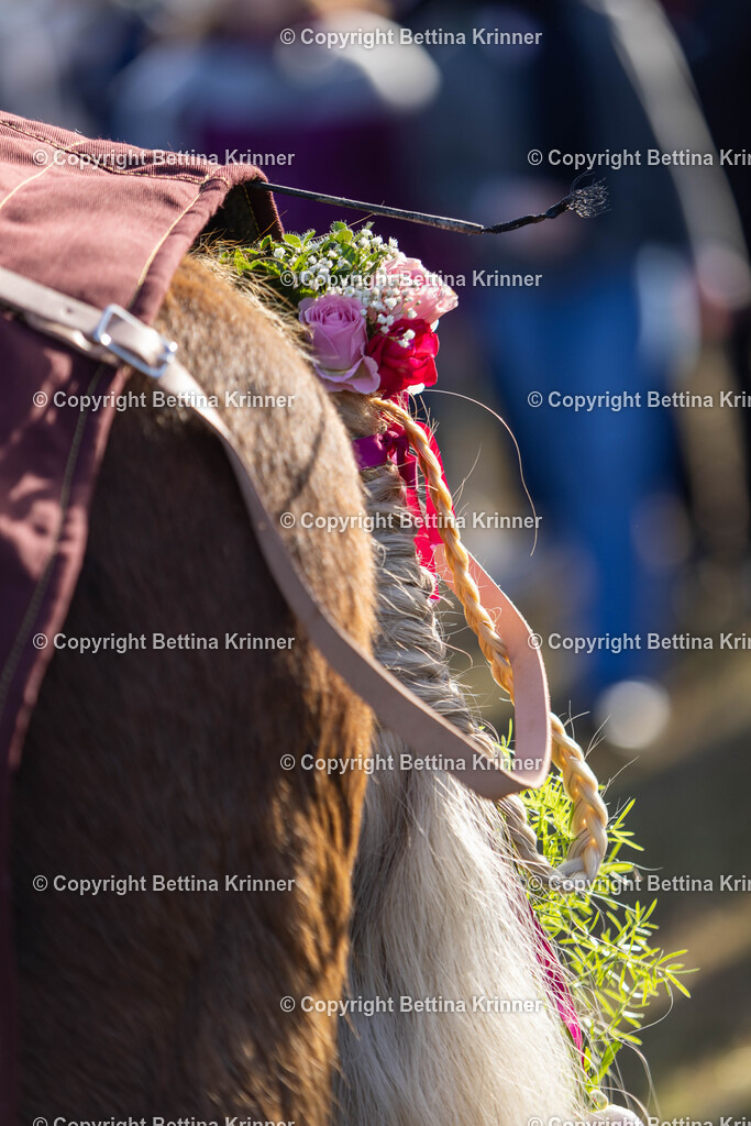 LBT24-1041 | foto-bettina-krinner - Realisiert mit Pictrs.com