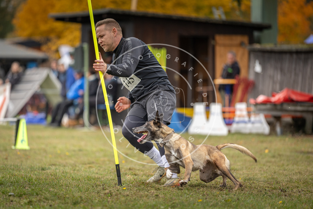 Pfotenfotografie_DV3A7803 | Hundefotografie, Tierfotograf, Pfotenfotografie, Fotoshooting Hund, Hunde Portrait, Hundesport, Hundeportraits, Heideshooting, Hunde, Sportfotograf, Hundefotograf, Turnierhundsport, THS,  - Realisiert mit Pictrs.com