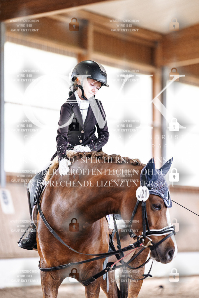 CK901740 | Turnierfotografie Pferdefotografie Trier Rheinland-Pfalz Pferdesport Reitsport Tierfotografie Sportfotografie Pferdevideo Pferdevideografie Equestrianvideography equestrianphotography  - Realisiert mit Pictrs.com