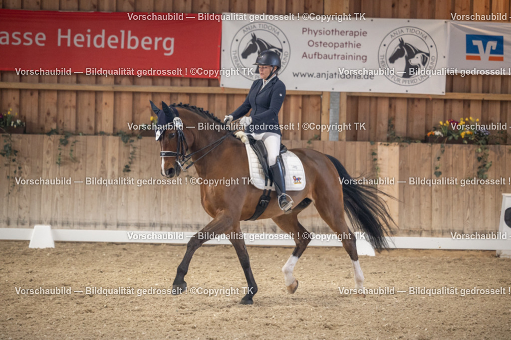 _D5A5942 | Emotionale Pferde- & People-Fotografie rund um Heidelberg, Leimen & Umgebung. Natürliche Fotos von Pferd, Mensch & Familie. Jetzt Termin sichern!