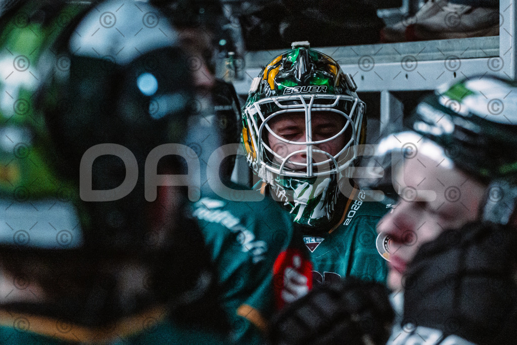 Alligators_vs_Peiting_04_10_2026-01 | Die Fotogalerie von Daddel: professionelle Bilder von Sport, Events und Unternehmen aus Franken. Jetzt Galerien durchstöbern und Lieblingsfotos bestellen. - Realisiert mit Pictrs.com