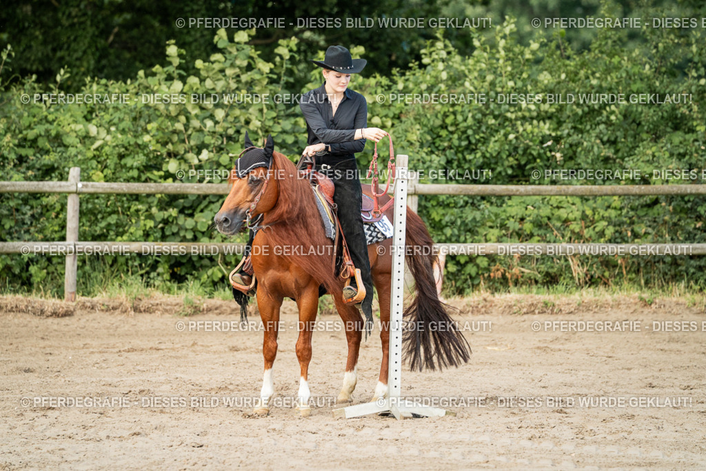 DSC05970 | Pferdegrafie